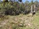 Photo - 5727 Putty Road, Howes Valley NSW 2330 - Image 6