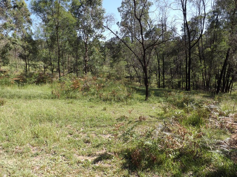 Photo - 5727 Putty Road, Howes Valley NSW 2330 - Image 8