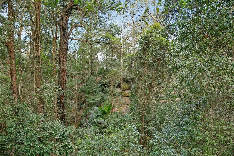 Photo - 573 Jacks Corner Road, Kangaroo Valley NSW 2577 - Image 7