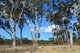 Photo - 576 Mulwaree Drive, Tallong NSW 2579 - Image 6