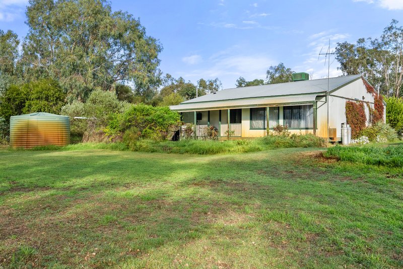 Photo - 576 Telephone Lane, Baldivis WA 6171 - Image 29