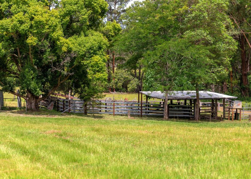 Photo - 577 Black Flat Lane, Wherrol Flat NSW 2429 - Image 3