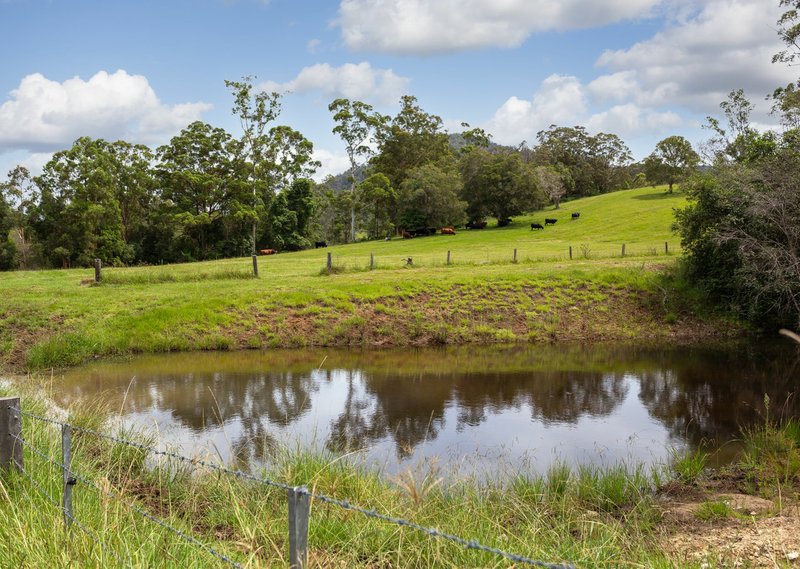 Photo - 577 Black Flat Lane, Wherrol Flat NSW 2429 - Image 14