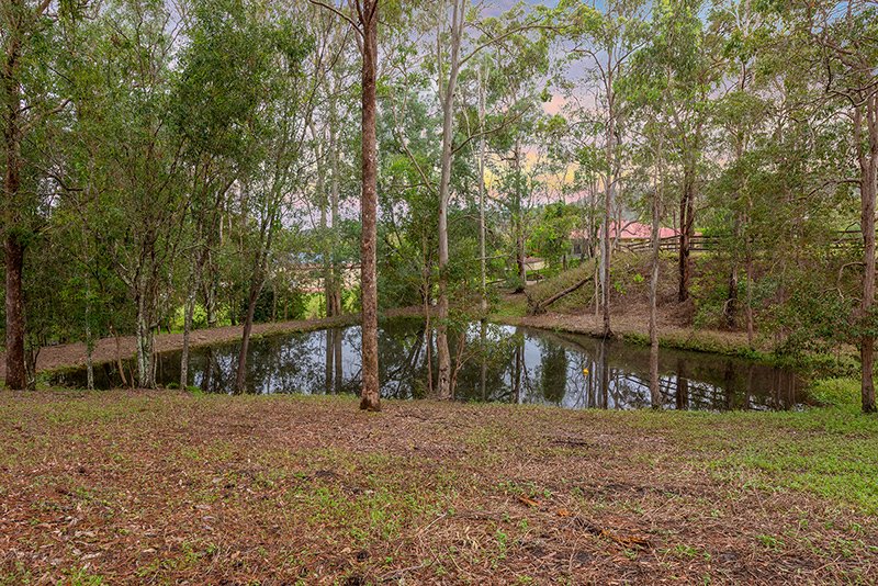 Photo - 579 Maudsland Road, Maudsland QLD 4210 - Image 5