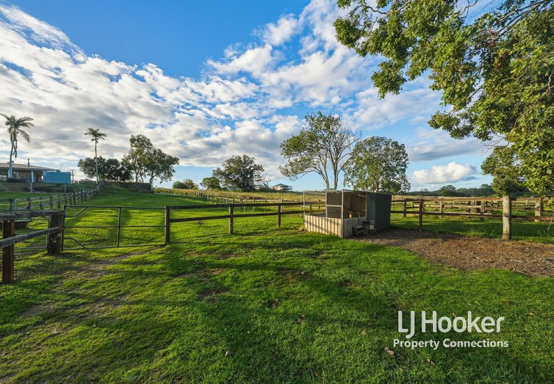 Photo - 58-72 F Lindsay Road, Rocksberg QLD 4510 - Image 21