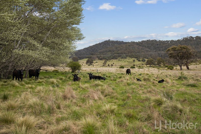 58 Black Flat Road, Burra NSW 2620 Real Estate Industry Partners