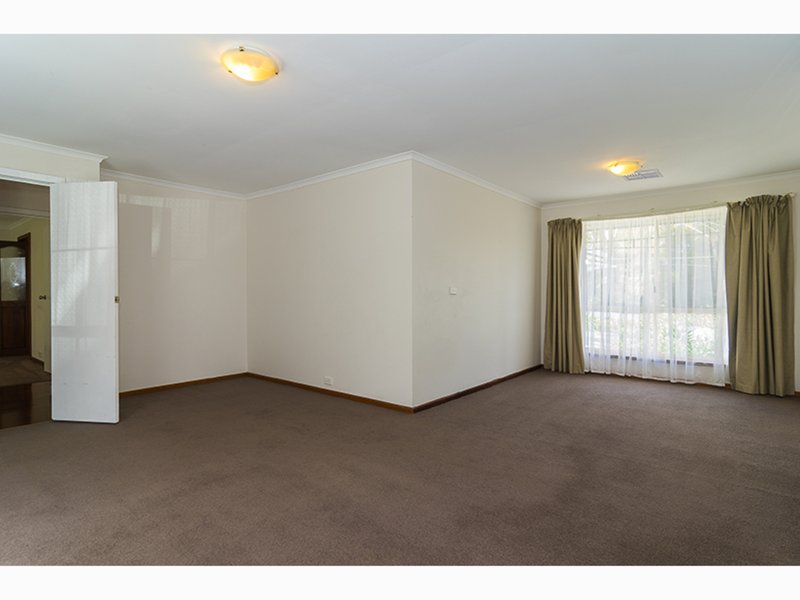 Photo - 58 Black Road, Flagstaff Hill SA 5159 - Image 6