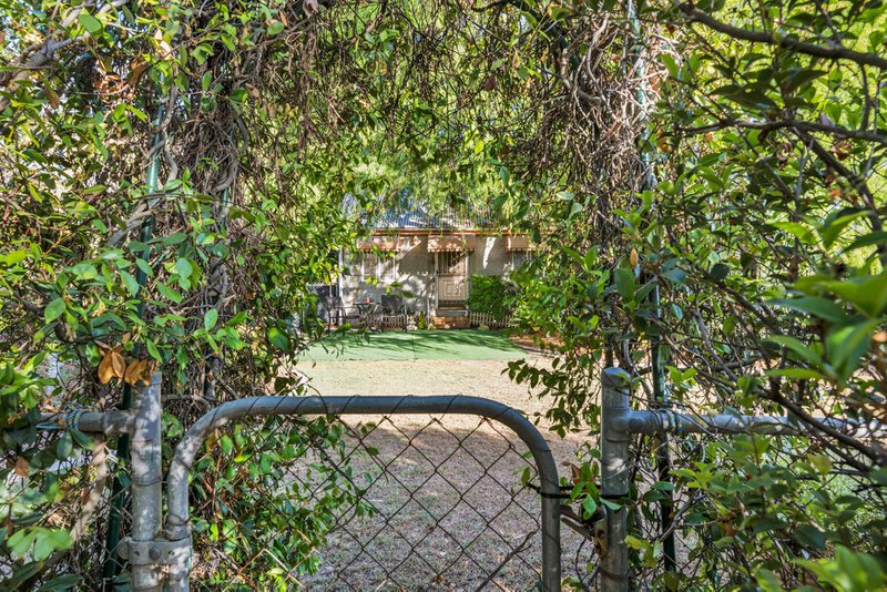 Photo - 58 Blackwood Road, Deagon QLD 4017 - Image 16