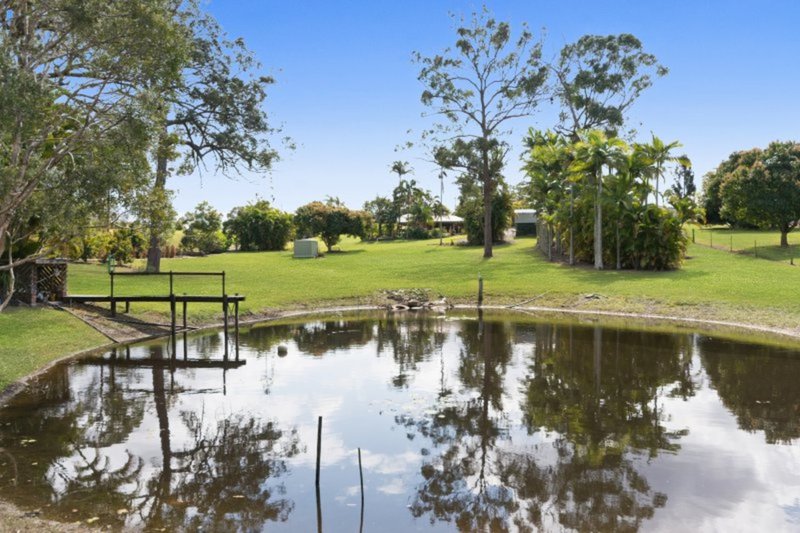 Photo - 58 Bonato Road, Glass House Mountains QLD 4518 - Image 4