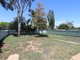 Photo - 58 Connorton Avenue, Ashmont NSW 2650 - Image 6