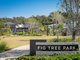 Photo - 58 Discovery Boulevard, Bahrs Scrub QLD 4207 - Image 27