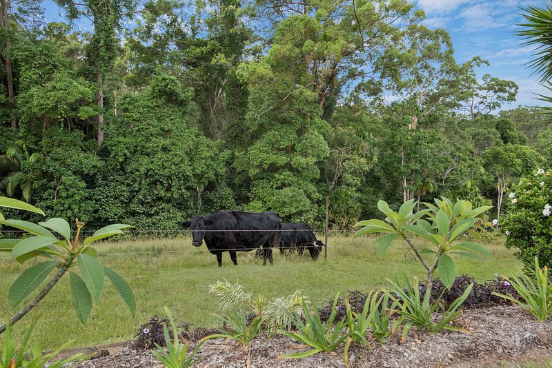 Photo - 58 Elisabeth Valley Place, Ilkley QLD 4554 - Image 8