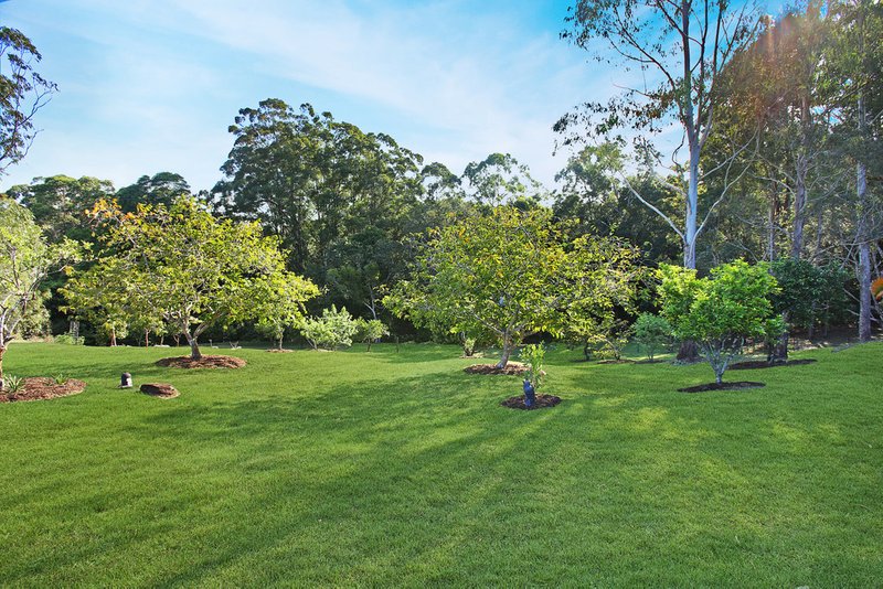 Photo - 58 Elisabeth Valley Place, Ilkley QLD 4554 - Image 18