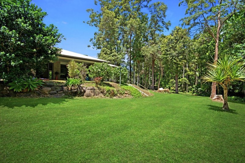 Photo - 58 Glenfinnan Court, Forest Glen QLD 4556 - Image 3