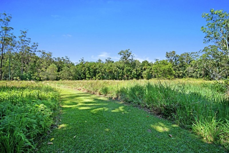 Photo - 58 Glenfinnan Court, Forest Glen QLD 4556 - Image 12