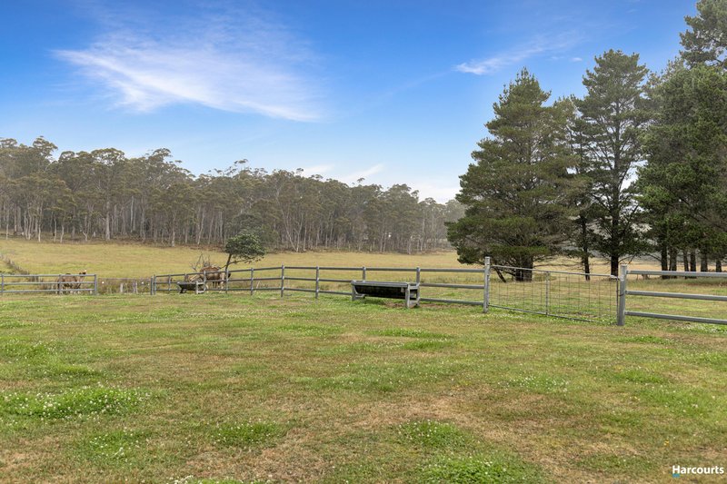 Photo - 58 Gray Road, St Marys TAS 7215 - Image 32