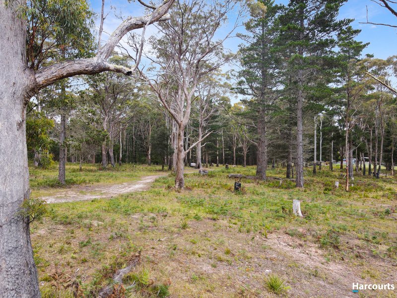 Photo - 58 Gray Road, St Marys TAS 7215 - Image 33