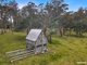 Photo - 58 Gray Road, St Marys TAS 7215 - Image 34