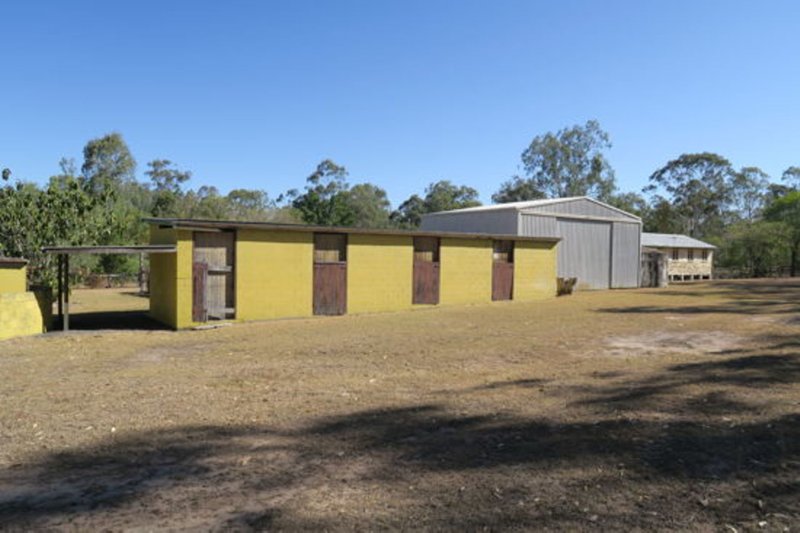 Photo - 58 Haigslea-Amberley Road, Walloon QLD 4306 - Image 7