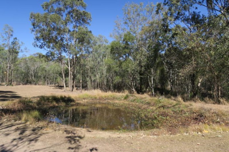 Photo - 58 Haigslea-Amberley Road, Walloon QLD 4306 - Image 11