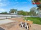 Photo - 58 Mofflin Road, Elizabeth Grove SA 5112 - Image 11