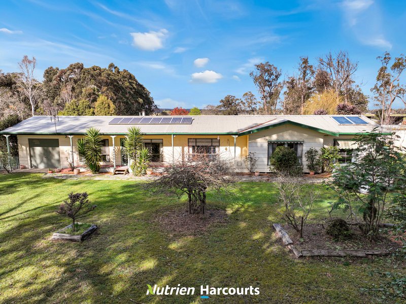 Photo - 58 Napier Road, Won Wron VIC 3971 - Image 19