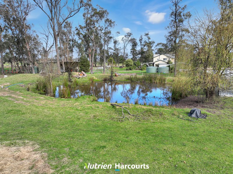 Photo - 58 Napier Road, Won Wron VIC 3971 - Image 21