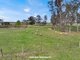 Photo - 58 Napier Road, Won Wron VIC 3971 - Image 22