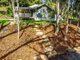 Photo - 58 Nimbin Road, Lismore NSW 2480 - Image 5