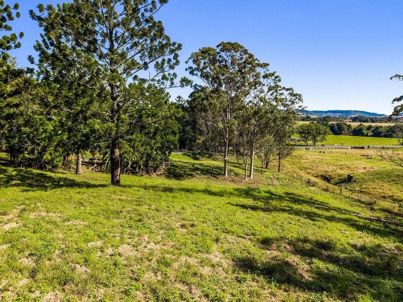 Photo - 58 Nimbin Road, Lismore NSW 2480 - Image 27