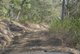 Photo - 58 Rafting Ground Road, Agnes Water QLD 4677 - Image 7