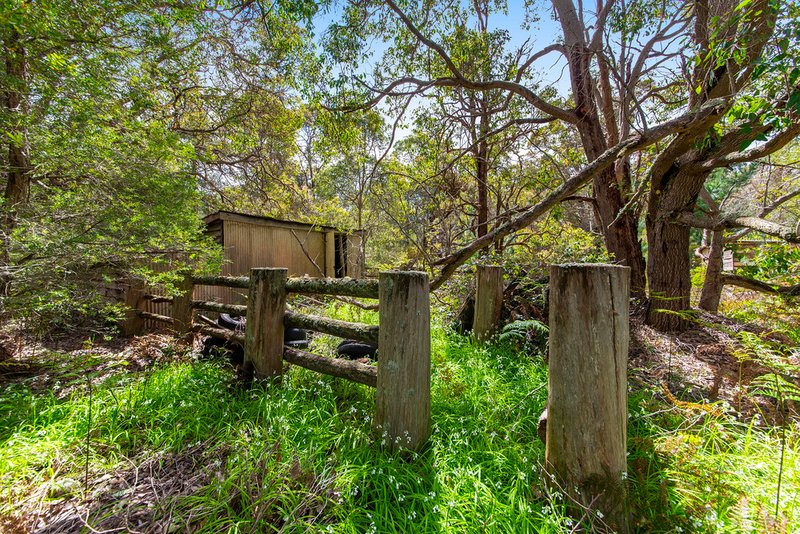 Photo - 58 Rowe Road, Nannup WA 6275 - Image 6