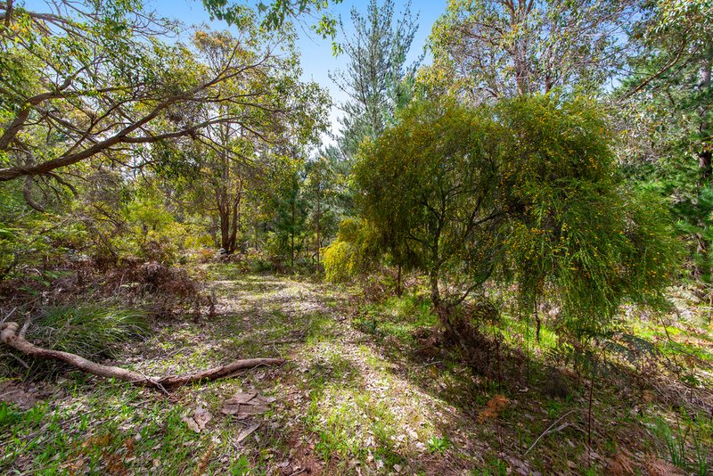 Photo - 58 Rowe Road, Nannup WA 6275 - Image 8