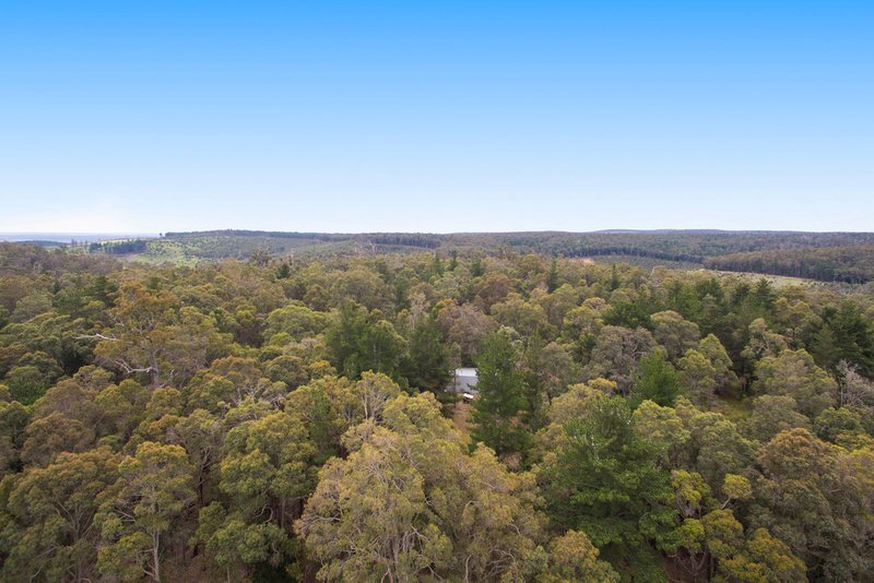 Photo - 58 Rowe Road, Nannup WA 6275 - Image 10