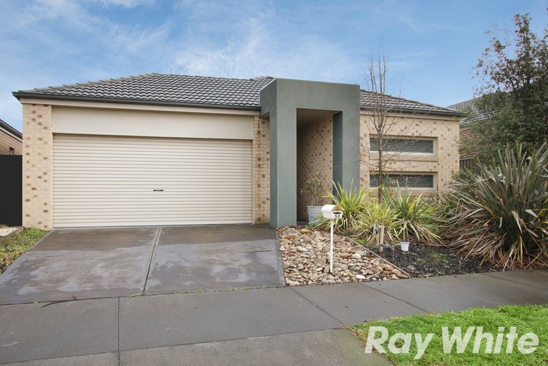 Photo - 58 Sarton Link, Pakenham VIC 3810 - Image 3