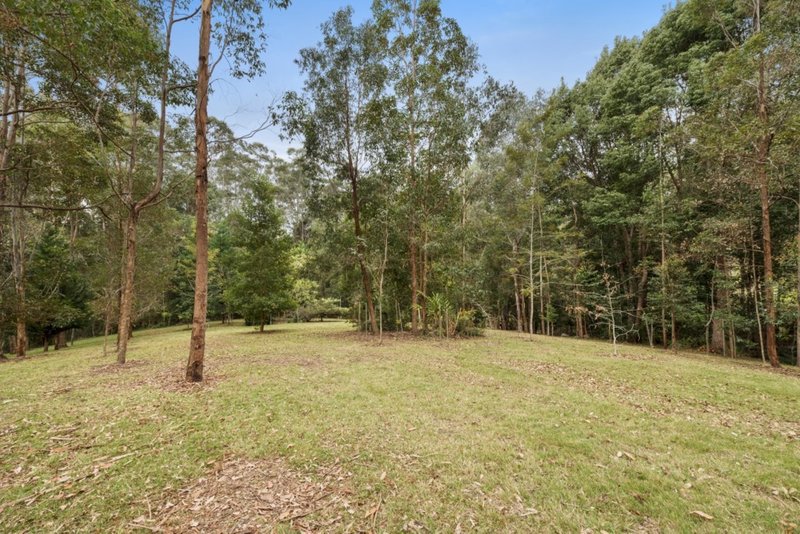 Photo - 58 Sunset Ridge Drive, Bellingen NSW 2454 - Image 24