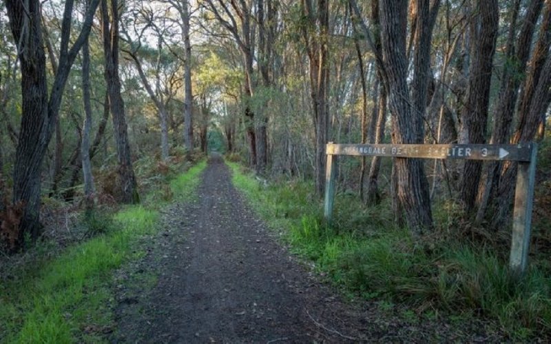 Photo - 58 Triggerplant Loop, Denmark WA 6333 - Image 5