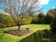 Photo - 58 William Street, Westbury TAS 7303 - Image 10