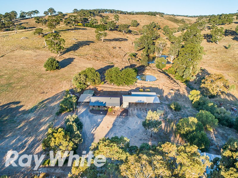 580 Mclaren Flat Road, Mclaren Flat SA 5171 Real Estate Industry Partners