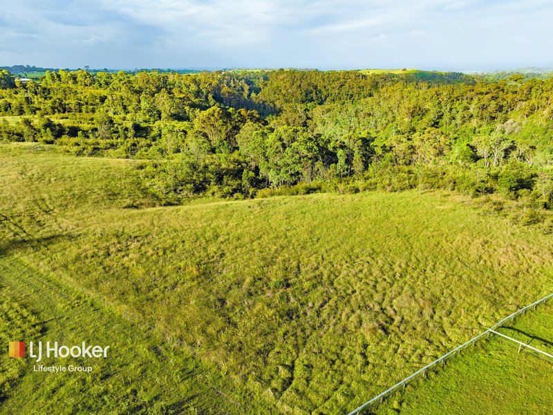 Photo - 580 Montpelier Drive, The Oaks NSW 2570 - Image 7