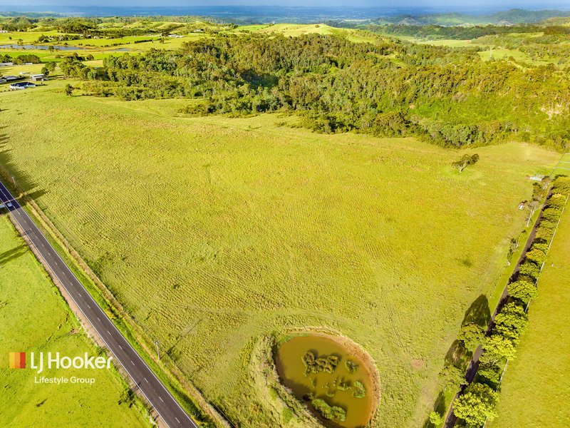 Photo - 580 Montpelier Drive, The Oaks NSW 2570 - Image 9