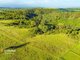 Photo - 580 Montpelier Drive, The Oaks NSW 2570 - Image 12