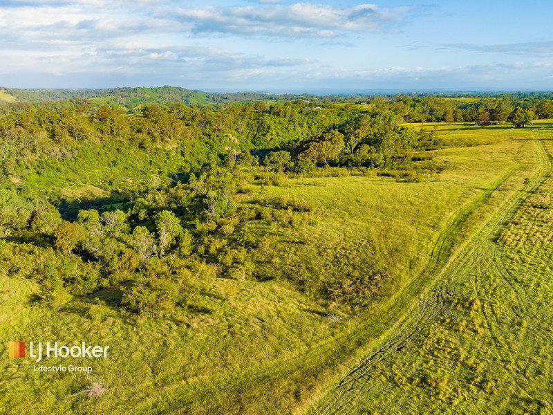 Photo - 580 Montpelier Drive, The Oaks NSW 2570 - Image 13