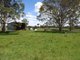 Photo - 581 Dyrring Road, Singleton NSW 2330 - Image 19