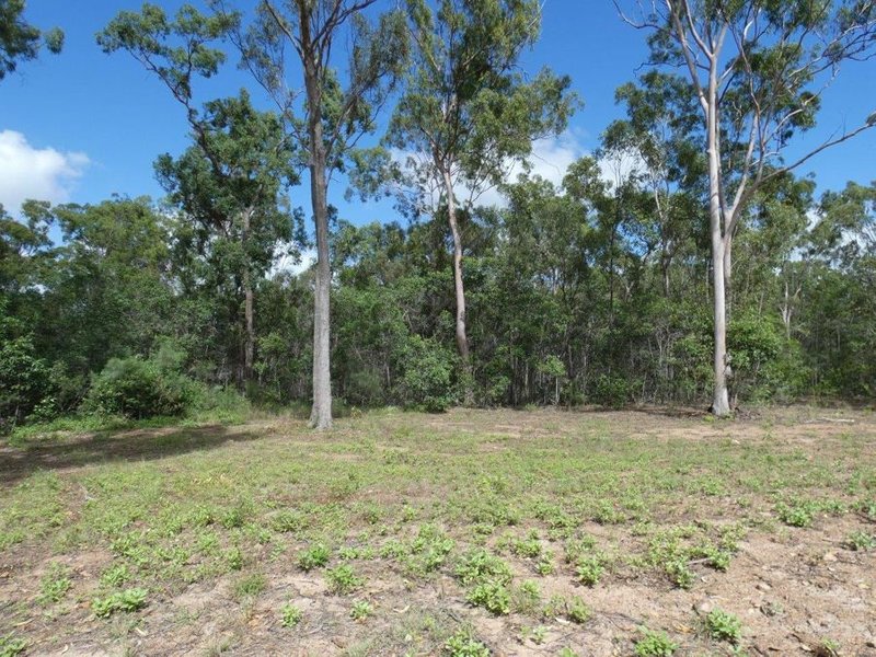 Photo - 582 Mineral Road, Rosedale QLD 4674 - Image 12