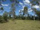 Photo - 582 Taunton Road, Taunton QLD 4674 - Image 3