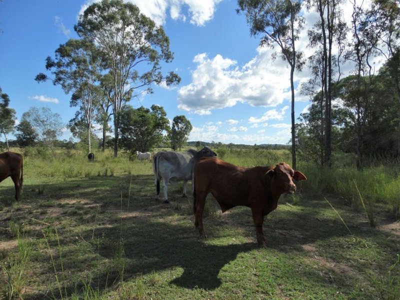 Photo - 582 Taunton Road, Taunton QLD 4674 - Image 20