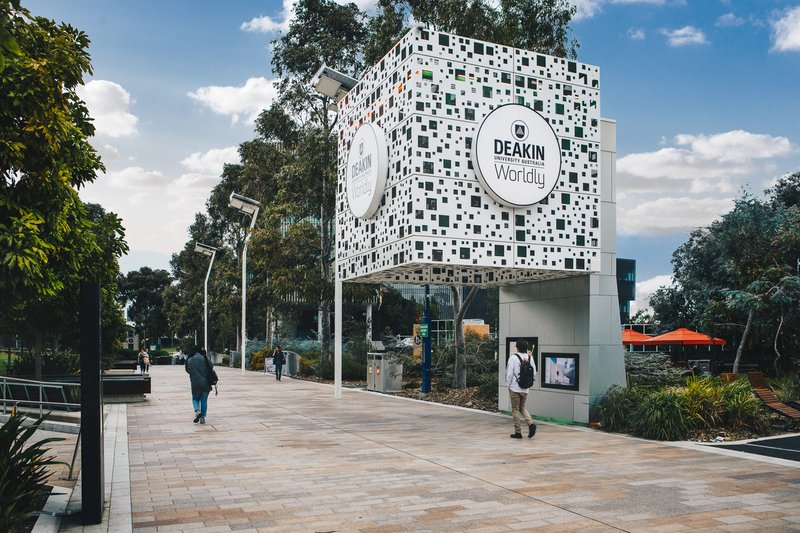 Photo - 585 Highbury Road, Burwood East VIC 3151 - Image 19