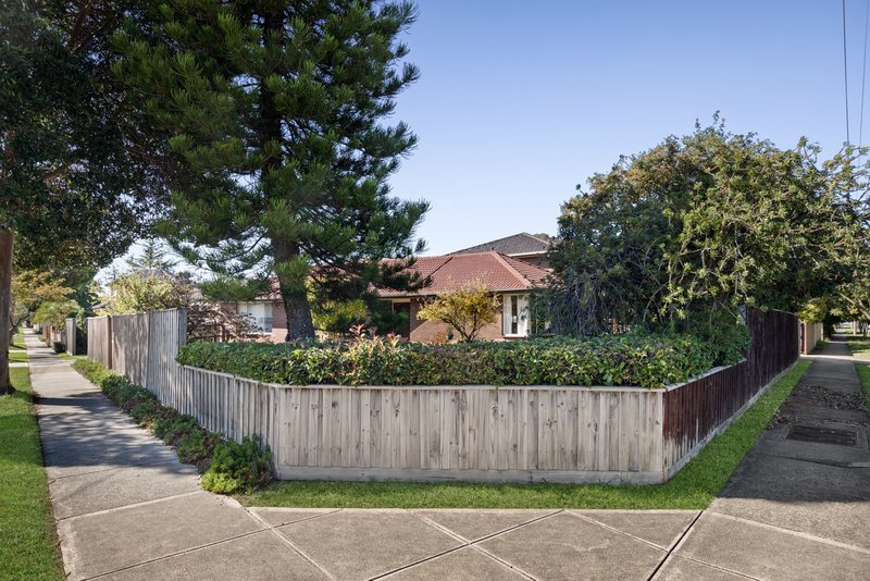 Photo - 585 Highbury Road, Burwood East VIC 3151 - Image 12