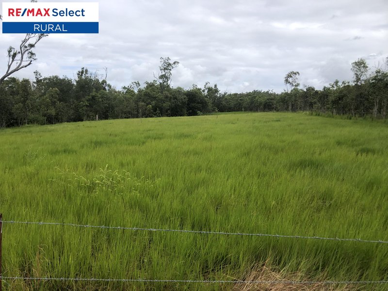 Photo - 585 Lindeman Drive, Bloomsbury QLD 4799 - Image 6